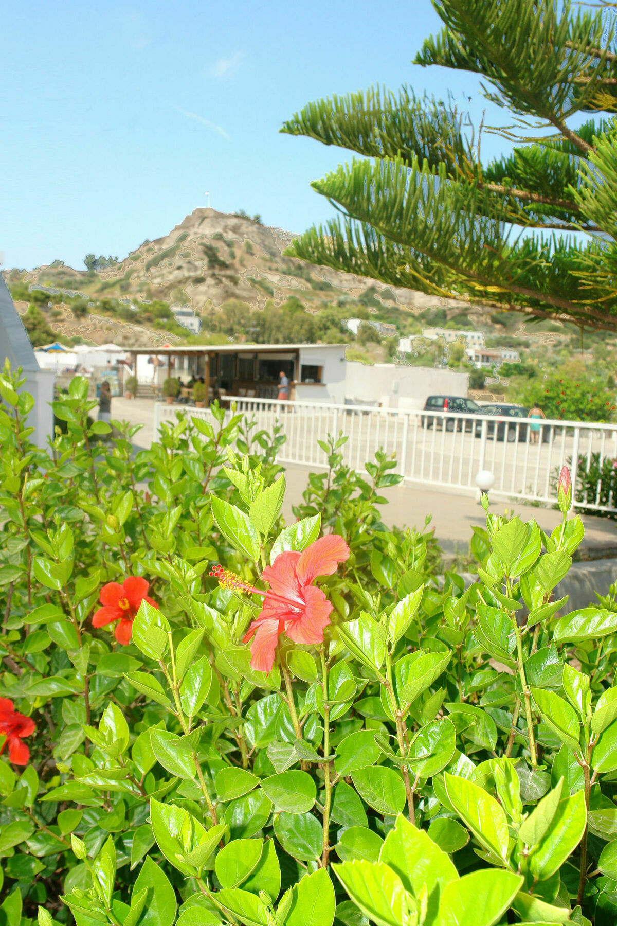קפלוס Archodia Studios מראה חיצוני תמונה